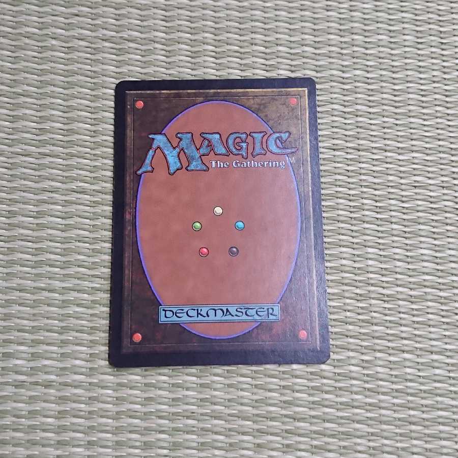 MTG 食物連鎖 英語