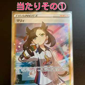 【ころちゃ様専用】がんばリーリエオリパ【専用】