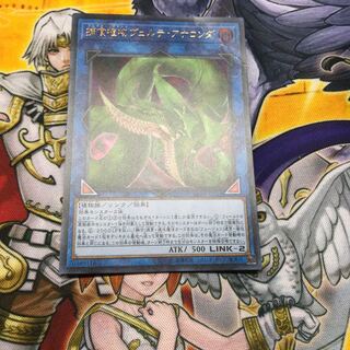 捕食植物ヴェルテ・アナコンダ ウルトラレア