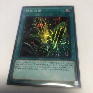 Predapractice [Super Rare].