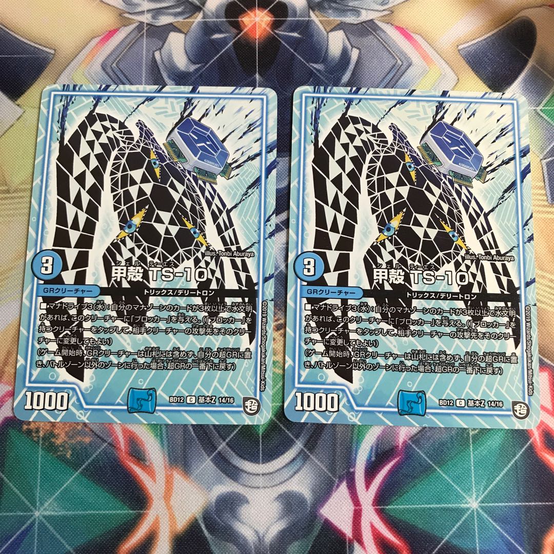 甲殻 TS-10 2枚セット