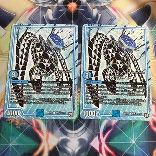 甲殻 TS-10 2枚セット