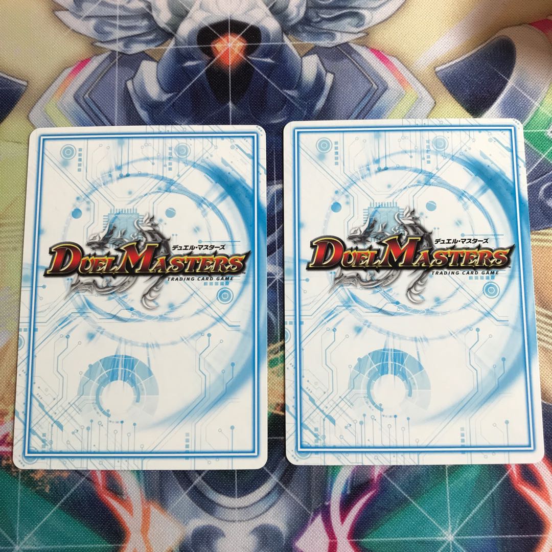 甲殻 TS-10 2枚セット