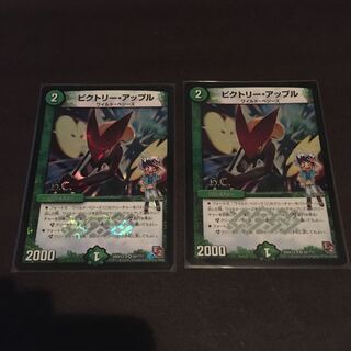 在庫処分セール　ビクトリーアップル　2枚セット