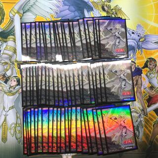 教導の聖女エクレシア　スリーブ　66枚