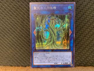 【ぽぽたん】遊戯王   -1177  聖天樹の月桂精 シークレット