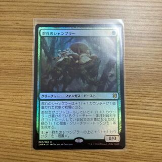群れのシャンブラー　ZNR foil