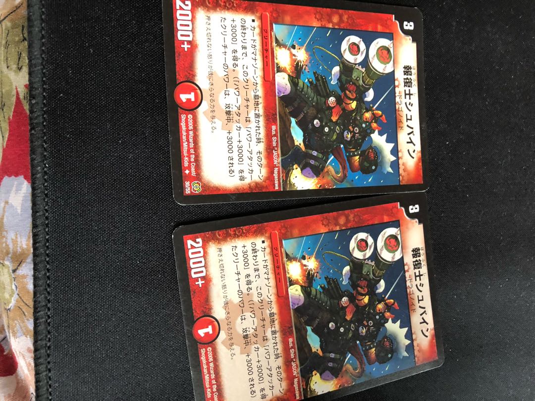 報復士シュバイン