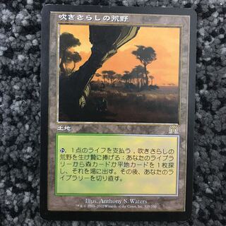 吹きさらしの荒野+謎めいた命令