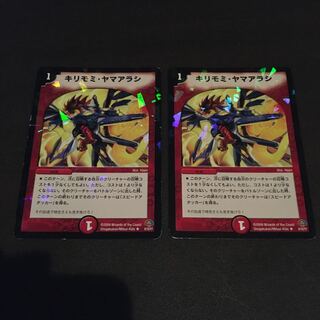 キリモミヤマアラシ　2枚セット