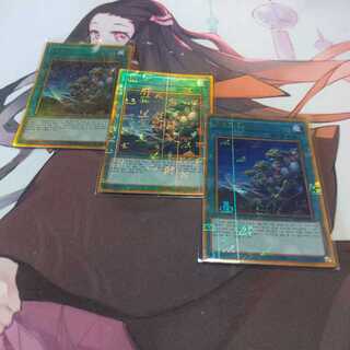 韓国　同胞の絆 ミレニアムゴールドレア