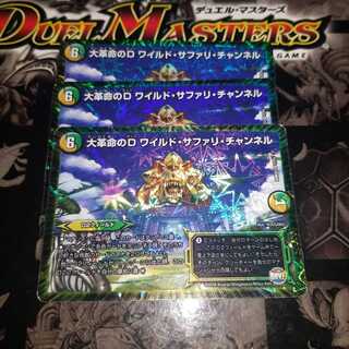 大革命のD ワイルド・サファリ・チャンネル