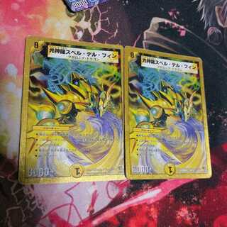 光神龍スペル・デル・フィン(2枚)