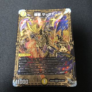 煌龍 サッヴァーク