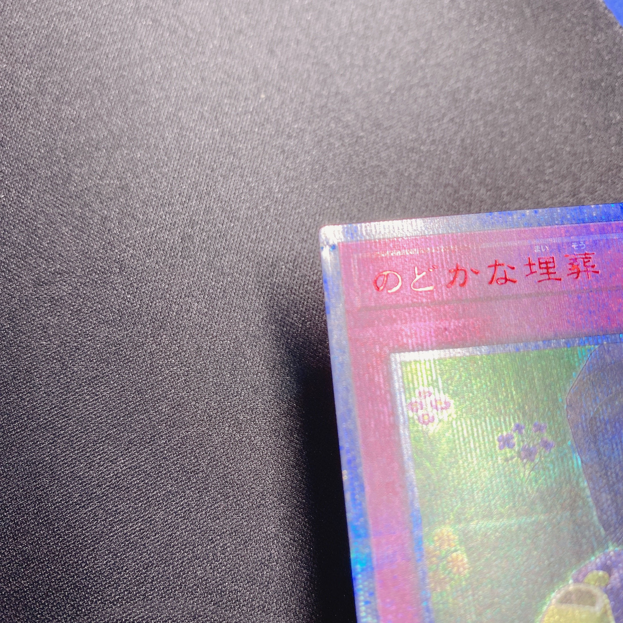 遊戯王　のどかな埋葬　20thシークレット　シク