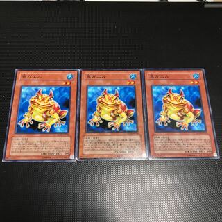 遊戯王 鬼ガエル 3枚