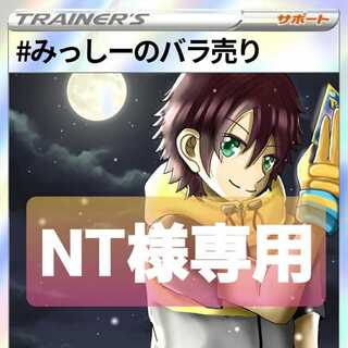 NT様専用ページです。