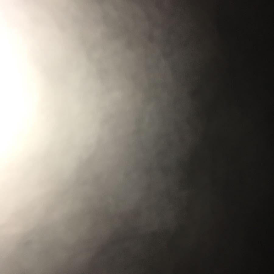 ヴィオラ様専用