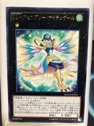 LL-アセンブリー・ナイチンゲール