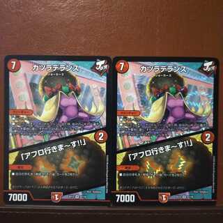 セット割引　カツラデランス｜「アフロ行きまーす!!」