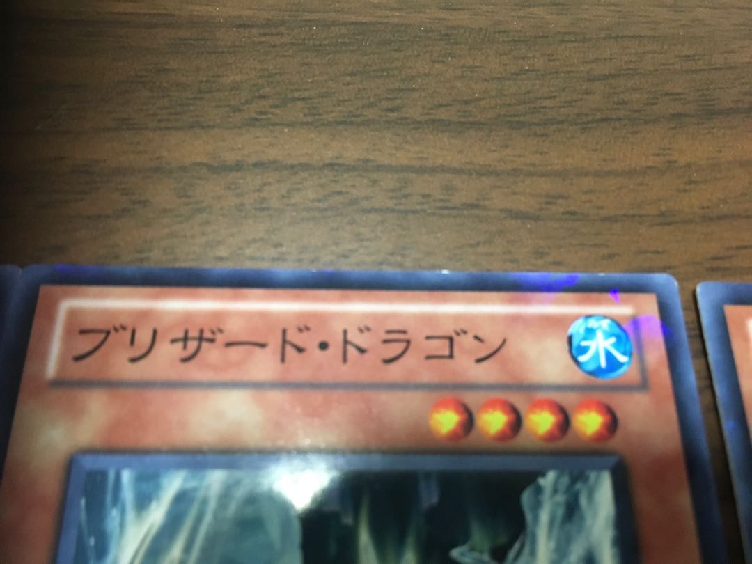 【あいす】ブリザード・ドラゴン