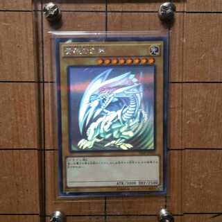 青眼の白龍　ホログラフィックレア　ホロ