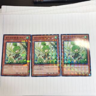 ガスタの希望 カムイ