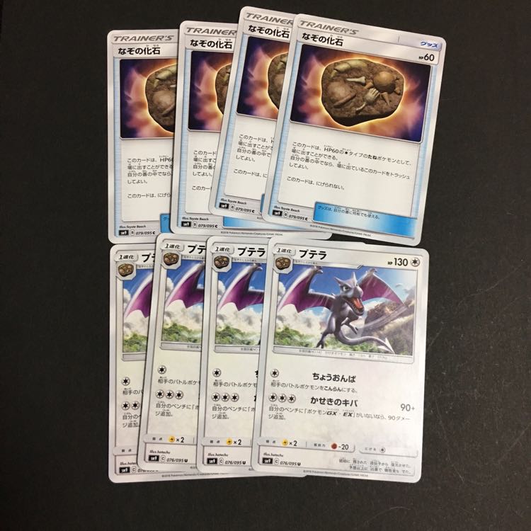 なぞの化石 プテラ