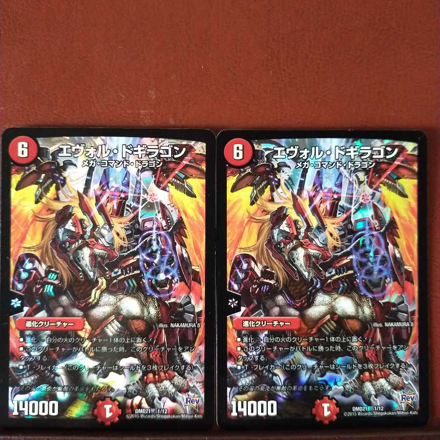 セット割引　エヴォル・ドギラゴン