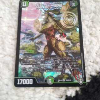 ガンヴィー龍樹 SR