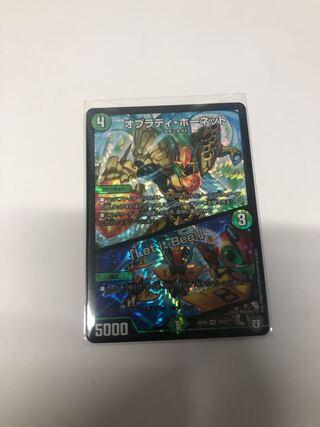 オブラディ・ホーネット｜「Let it Bee!」