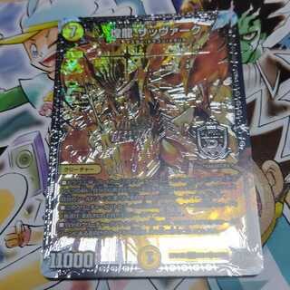 煌龍 サッヴァーク