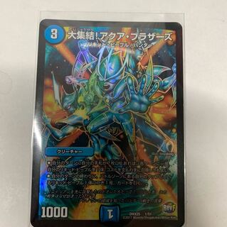 大集結アクアブラザーズ