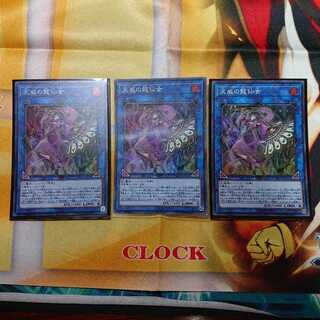 天威の龍仙女 (RIRA-JP044) スーパーレア 3枚 セット