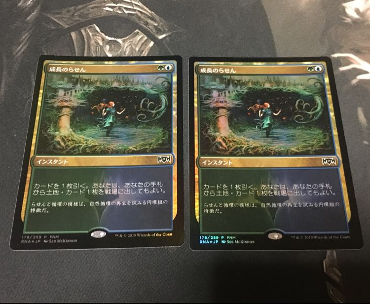 成長のらせん FNM