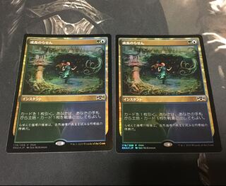 成長のらせん FNM