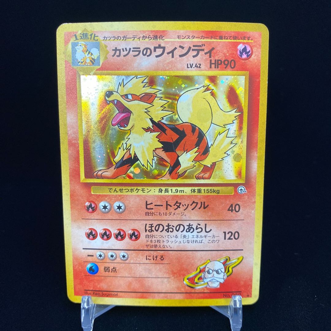 Windy in a wig, Kira, old back.