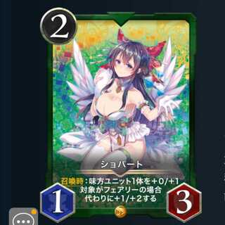 ２枚セット ショパート