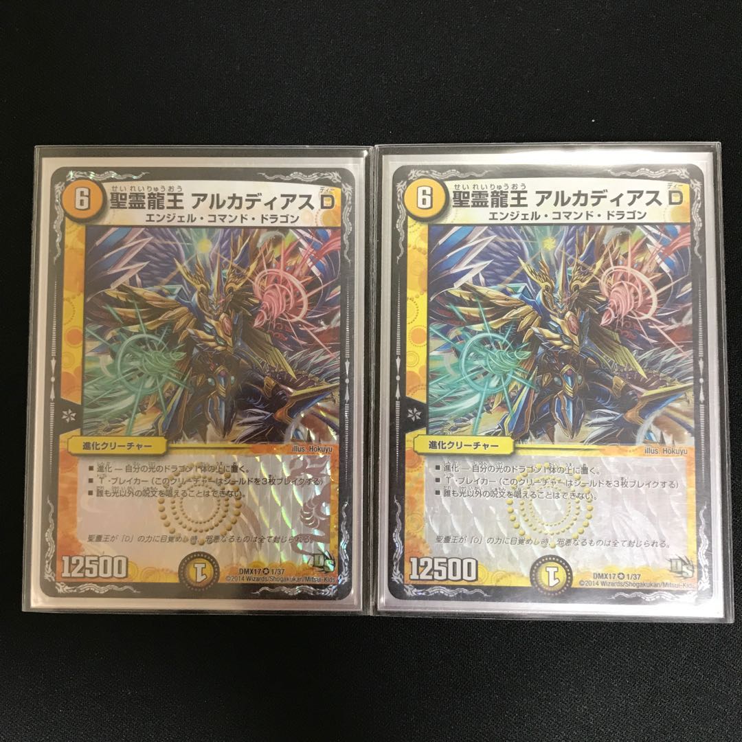 聖霊龍王 アルカディアスD