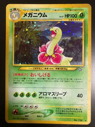 メガニウム　旧裏