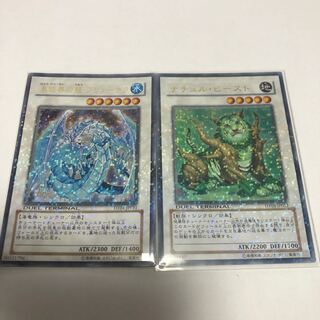 ナチュル・ビースト【ウルトラレア】氷結界の龍ブリューナク【ウルトラレア】