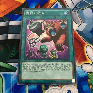 魔獣の懐柔 スーパーレア