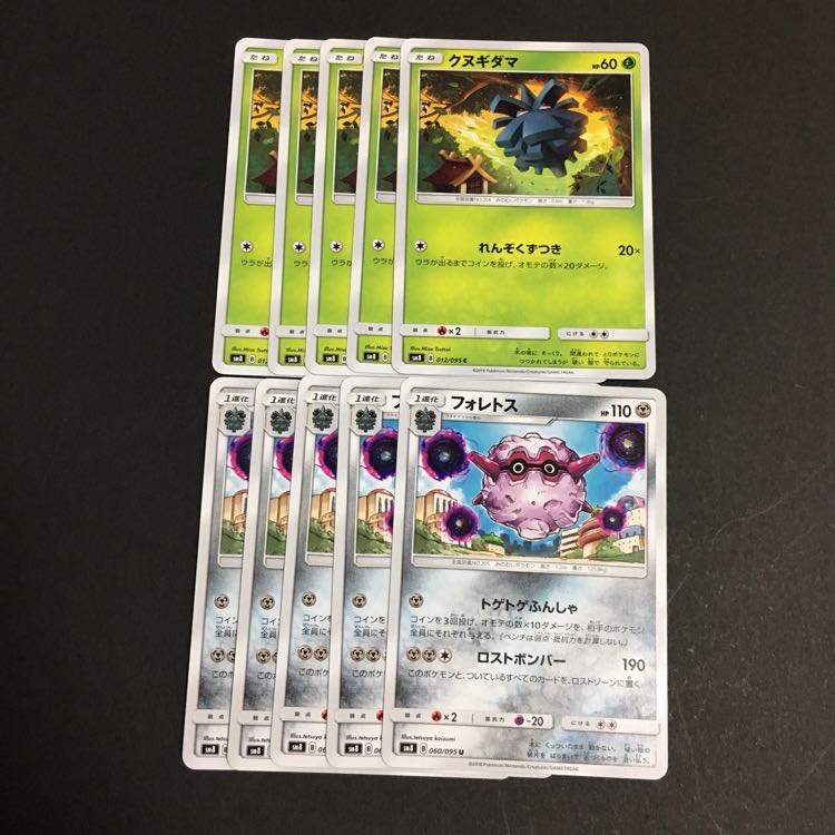 クヌギダマ フォレトス