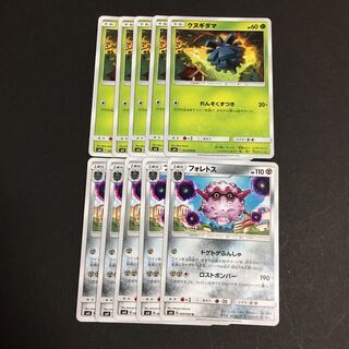 クヌギダマ フォレトス