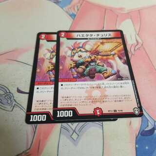 ハエタタ・チュリス