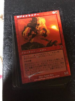 飛びかかるカヴー