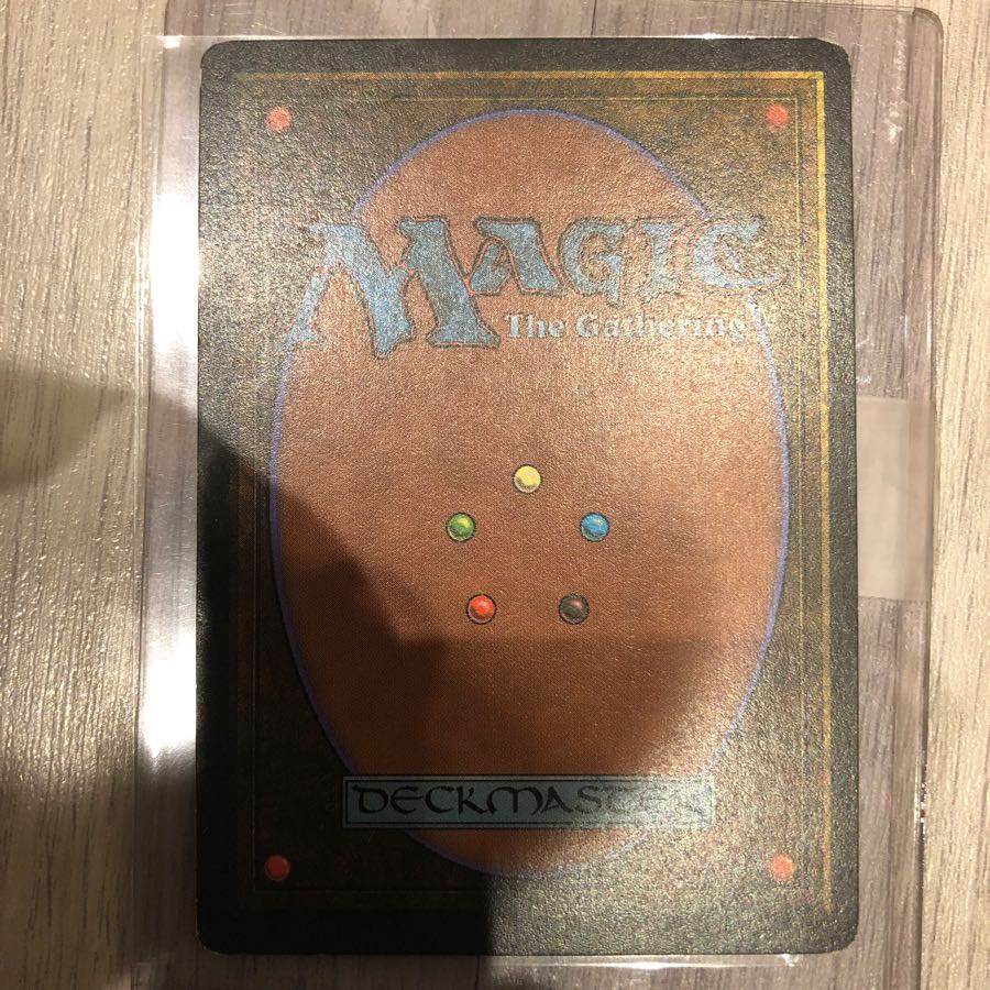 the tabernacle at pendrell vale イタリア語！！の通販 なお