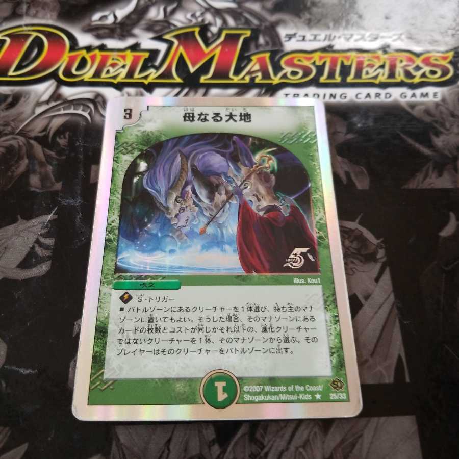 専用出品 母なる大地