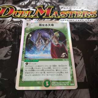 専用出品　母なる大地