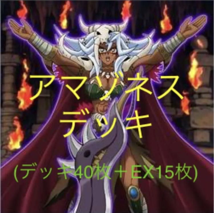 ✩ガチ構成✩ 遊戯王 アマゾネス デッキ (メイン40枚＋EX15枚)No.60の
